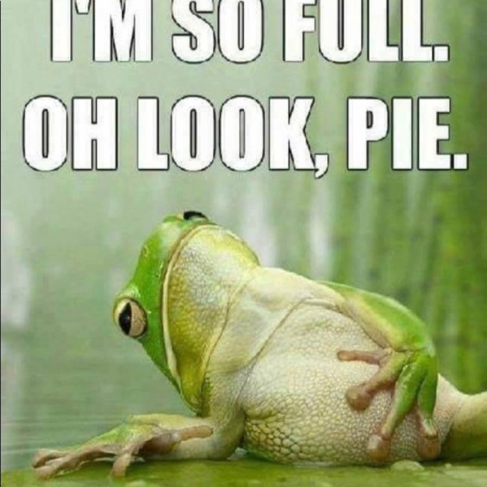 Meet your Posher, Brandi